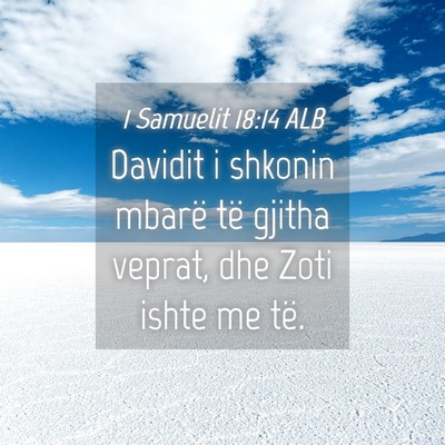 Picture 04 - 1 Samuelit 18:14 ALB - Davidit i shkonin mbarë të gjitha veprat, dhe - Bible Verse Picture