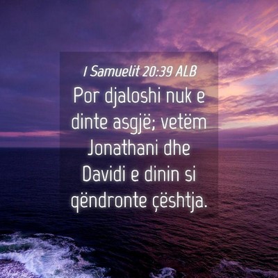 Picture 04 - 1 Samuelit 20:39 ALB - Por djaloshi nuk e dinte asgjë; vetëm Jonathani - Bible Verse Picture