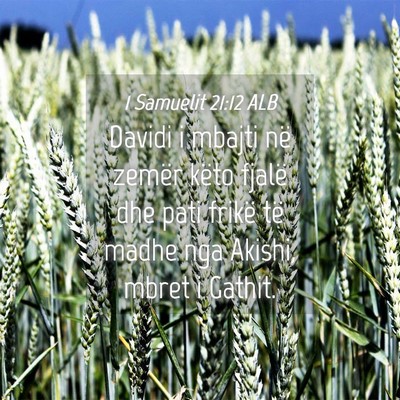 Picture 04 - 1 Samuelit 21:12 ALB - Davidi i mbajti në zemër këto fjalë dhe pati - Bible Verse Picture