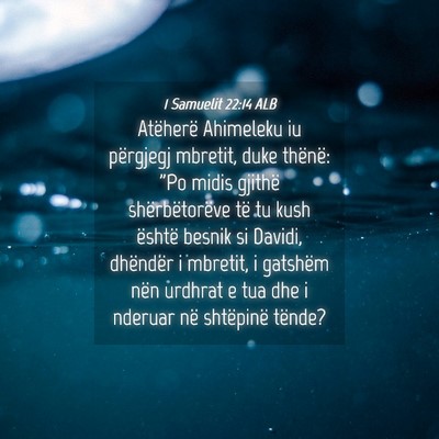 Picture 04 - 1 Samuelit 22:14 ALB - Atëherë Ahimeleku iu përgjegj mbretit, duke - Bible Verse Picture