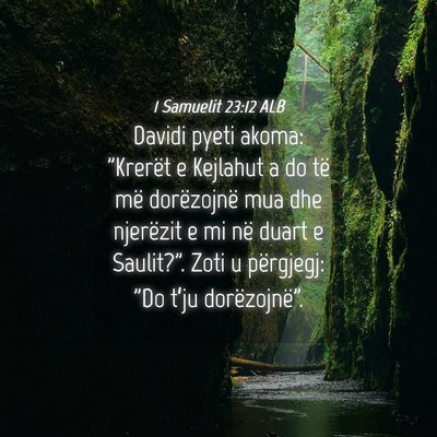 Picture 04 - 1 Samuelit 23:12 ALB - Davidi pyeti akoma: 