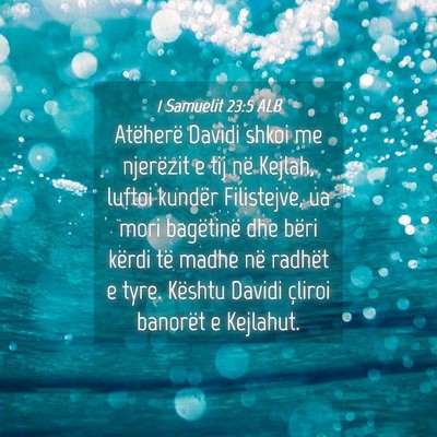 Picture 04 - 1 Samuelit 23:5 ALB - Atëherë Davidi shkoi me njerëzit e tij në - Bible Verse Picture