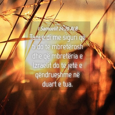 Picture 04 - 1 Samuelit 24:20 ALB - Tani e di me siguri që ti do të mbretërosh dhe - Bible Verse Picture