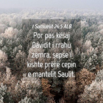 Picture 04 - 1 Samuelit 24:5 ALB - Por pas kësaj Davidit i rrahu zemra, sepse i - Bible Verse Picture