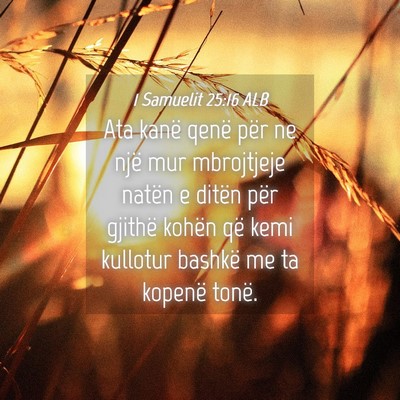 Picture 04 - 1 Samuelit 25:16 ALB - Ata kanë qenë për ne një mur mbrojtjeje - Bible Verse Picture