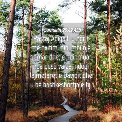 Picture 04 - 1 Samuelit 25:42 ALB - Pastaj Abigaili u ngrit me nxitim, hipi mbi një - Bible Verse Picture