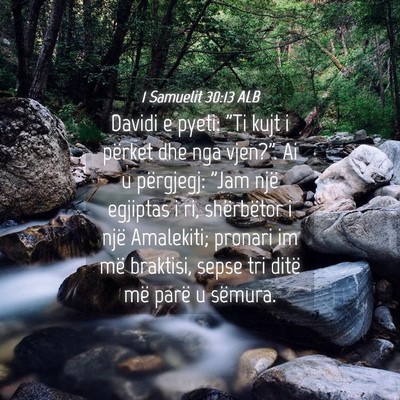 Picture 04 - 1 Samuelit 30:13 ALB - Davidi e pyeti: 