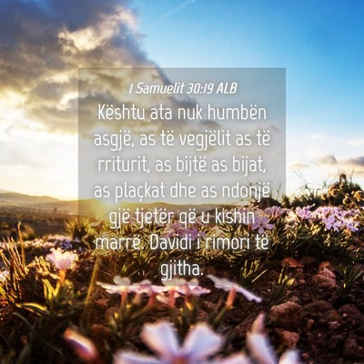 Picture 04 - 1 Samuelit 30:19 ALB - Kështu ata nuk humbën asgjë, as të vegjëlit - Bible Verse Picture