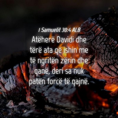 Picture 04 - 1 Samuelit 30:4 ALB - Atëherë Davidi dhe tërë ata që ishin me të - Bible Verse Picture