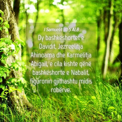 Picture 04 - 1 Samuelit 30:5 ALB - Dy bashkëshortet e Davidit, Jezreelitja Ahinoama - Bible Verse Picture