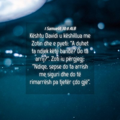 Picture 04 - 1 Samuelit 30:8 ALB - Kështu Davidi u këshillua me Zotin dhe e pyeti: - Bible Verse Picture