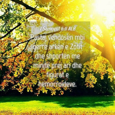 Picture 04 - 1 Samuelit 6:11 ALB - Pastaj vendosën mbi qerre arkën e Zotit dhe - Bible Verse Picture