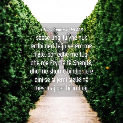 Picture 04 - 1 Thesalonikasve 1:5 ALB - sepse ungjilli ynë nuk erdhi deri te ju vetëm - Bible Verse Picture
