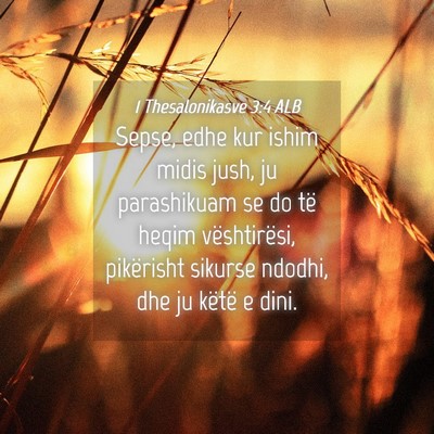 Picture 04 - 1 Thesalonikasve 3:4 ALB - Sepse, edhe kur ishim midis jush, ju parashikuam - Bible Verse Picture