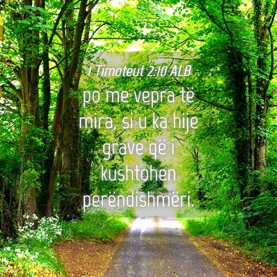 Picture 04 - 1 Timoteut 2:10 ALB - po me vepra të mira, si u ka hije grave që i - Bible Verse Picture