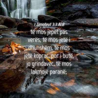 Picture 04 - 1 Timoteut 3:3 ALB - të mos jepet pas verës, të mos jetë i - Bible Verse Picture