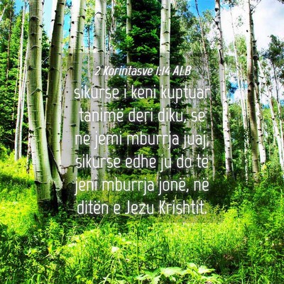 Picture 04 - 2 Korintasve 1:14 ALB - sikurse i keni kuptuar tanimë deri diku, se ne - Bible Verse Picture