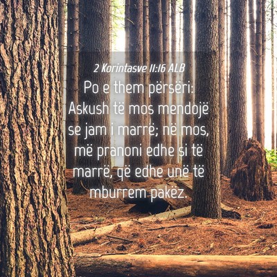 Picture 04 - 2 Korintasve 11:16 ALB - Po e them përsëri: Askush të mos mendojë se - Bible Verse Picture