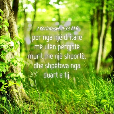 Picture 04 - 2 Korintasve 11:33 ALB - por nga një dritare më ulën përgjatë murit - Bible Verse Picture
