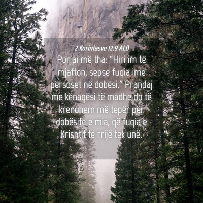 Picture 04 - 2 Korintasve 12:9 ALB - Por ai më tha: “Hiri im të mjafton, sepse - Bible Verse Picture