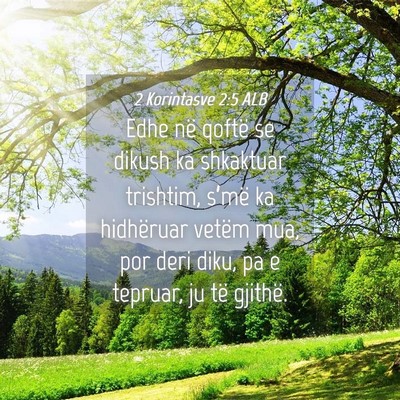 Picture 04 - 2 Korintasve 2:5 ALB - Edhe në qoftë se dikush ka shkaktuar trishtim, - Bible Verse Picture