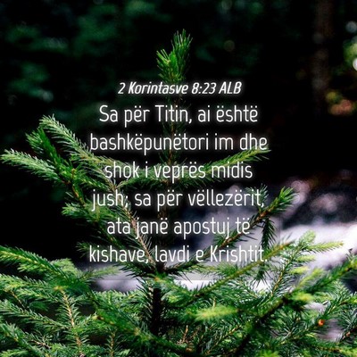 Picture 04 - 2 Korintasve 8:23 ALB - Sa për Titin, ai është bashkëpunëtori im dhe - Bible Verse Picture