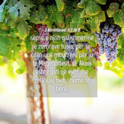 Picture 04 - 2 Korintasve 9:2 ALB - sepse e njoh gatishmërinë e zemrave tuaja, për - Bible Verse Picture