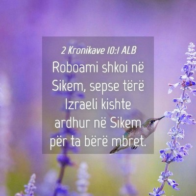 Picture 04 - 2 Kronikave 10:1 ALB - Roboami shkoi në Sikem, sepse tërë Izraeli - Bible Verse Picture