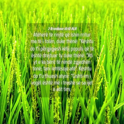 Picture 04 - 2 Kronikave 10:10 ALB - Atëherë të rinjtë që ishin rritur me të i - Bible Verse Picture