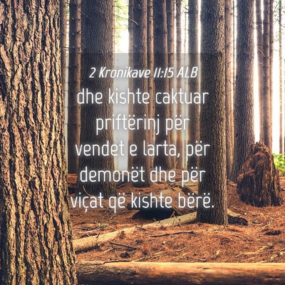 Picture 04 - 2 Kronikave 11:15 ALB - dhe kishte caktuar priftërinj për vendet e - Bible Verse Picture