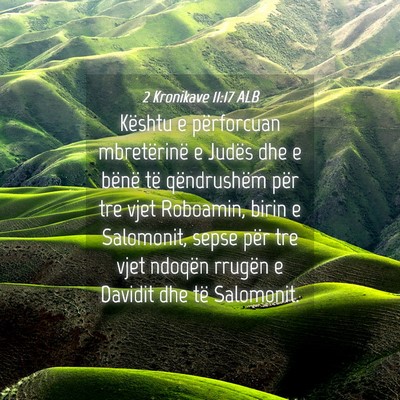 Picture 04 - 2 Kronikave 11:17 ALB - Kështu e përforcuan mbretërinë e Judës dhe e - Bible Verse Picture