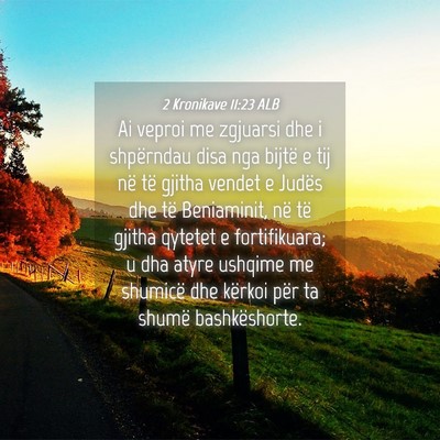 Picture 04 - 2 Kronikave 11:23 ALB - Ai veproi me zgjuarsi dhe i shpërndau disa nga - Bible Verse Picture