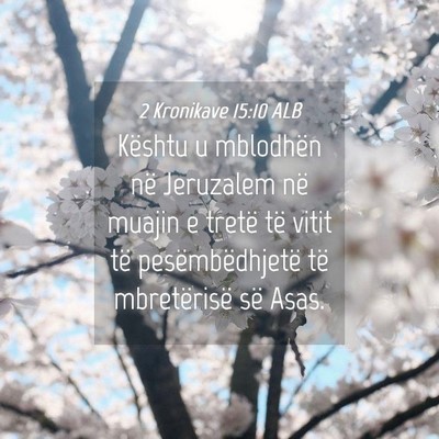 Picture 04 - 2 Kronikave 15:10 ALB - Kështu u mblodhën në Jeruzalem në muajin e - Bible Verse Picture
