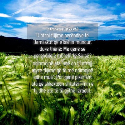 Picture 04 - 2 Kronikave 28:23 ALB - U ofroi flijime perëndive të Damaskut që e - Bible Verse Picture