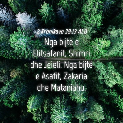 Picture 04 - 2 Kronikave 29:13 ALB - Nga bijtë e Elitsafanit, Shimri dhe Jeieli. Nga - Bible Verse Picture