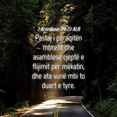 Picture 04 - 2 Kronikave 29:23 ALB - Pastaj i paraqitën mbretit dhe asamblesë - Bible Verse Picture