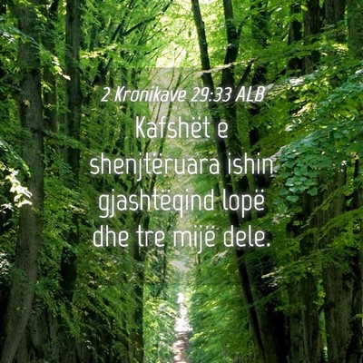 Picture 04 - 2 Kronikave 29:33 ALB - Kafshët e shenjtëruara ishin gjashtëqind lopë - Bible Verse Picture