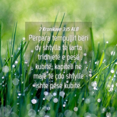 Picture 04 - 2 Kronikave 3:15 ALB - Përpara tempullit bëri dy shtylla të larta - Bible Verse Picture