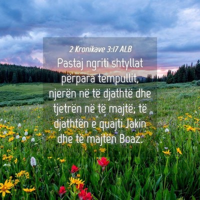 Picture 04 - 2 Kronikave 3:17 ALB - Pastaj ngriti shtyllat përpara tempullit, - Bible Verse Picture
