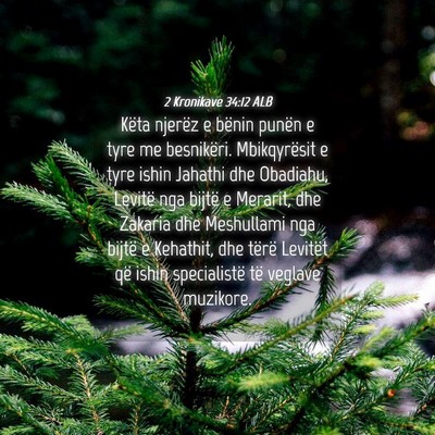 Picture 04 - 2 Kronikave 34:12 ALB - Këta njerëz e bënin punën e tyre me - Bible Verse Picture