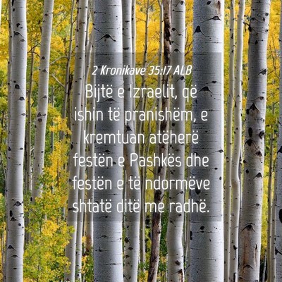 Picture 04 - 2 Kronikave 35:17 ALB - Bijtë e Izraelit, që ishin të pranishëm, e - Bible Verse Picture