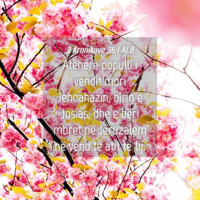 Picture 04 - 2 Kronikave 36:1 ALB - Atëherë populli i vendit mori Jehoahazin, birin - Bible Verse Picture
