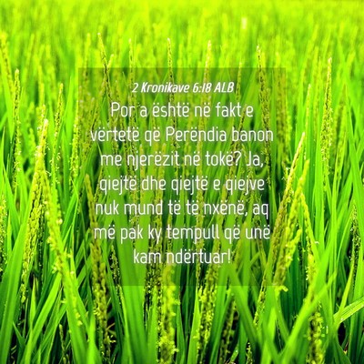 Picture 04 - 2 Kronikave 6:18 ALB - Por a është në fakt e vërtetë që Perëndia - Bible Verse Picture
