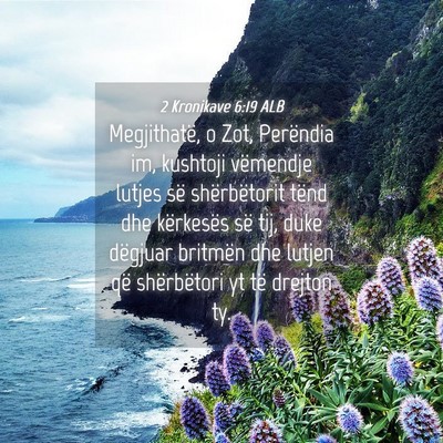 Picture 04 - 2 Kronikave 6:19 ALB - Megjithatë, o Zot, Perëndia im, kushtoji - Bible Verse Picture