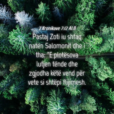 Picture 04 - 2 Kronikave 7:12 ALB - Pastaj Zoti iu shfaq natën Salomonit dhe i tha: - Bible Verse Picture