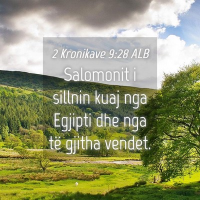 Picture 04 - 2 Kronikave 9:28 ALB - Salomonit i sillnin kuaj nga Egjipti dhe nga të - Bible Verse Picture