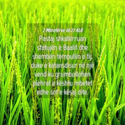 Picture 04 - 2 Mbretërve 10:27 ALB - Pastaj shkatërruan statujën e Baalit dhe - Bible Verse Picture