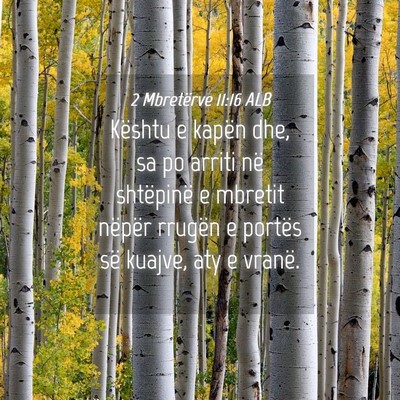 Picture 04 - 2 Mbretërve 11:16 ALB - Kështu e kapën dhe, sa po arriti në shtëpinë - Bible Verse Picture