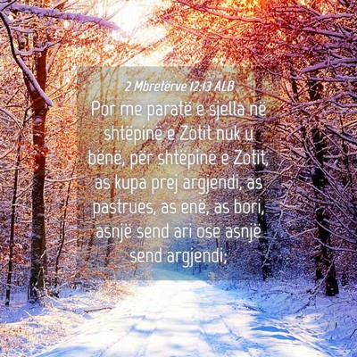 Picture 04 - 2 Mbretërve 12:13 ALB - Por me paratë e sjella në shtëpinë e Zotit - Bible Verse Picture