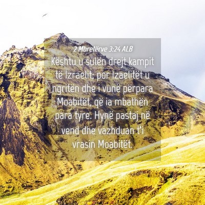 Picture 04 - 2 Mbretërve 3:24 ALB - Kështu u sulën drejt kampit të Izraelit; por - Bible Verse Picture